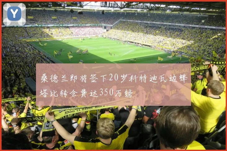 桑德兰即将签下20岁科特迪瓦边锋塔比转会费达350万镑