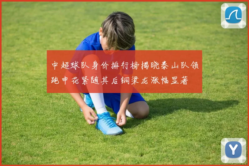 中超球队身价排行榜揭晓泰山队领跑申花紧随其后铜梁龙涨幅显著