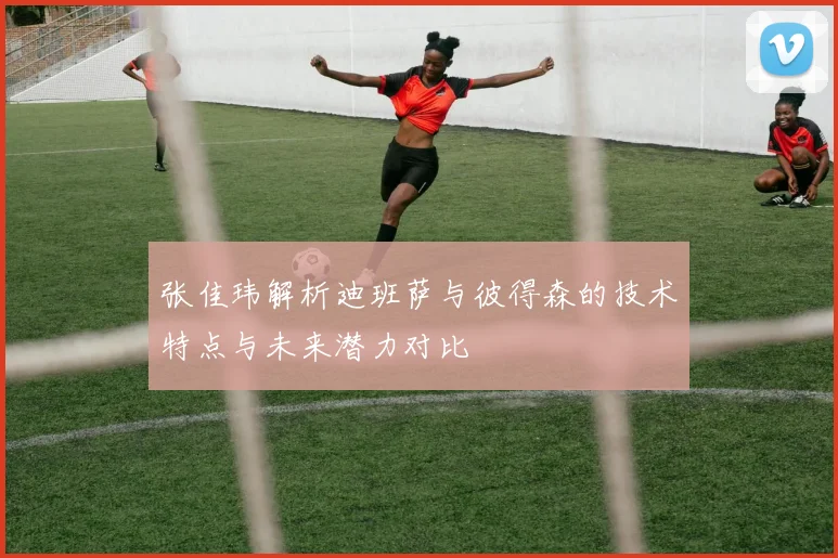 张佳玮解析迪班萨与彼得森的技术特点与未来潜力对比