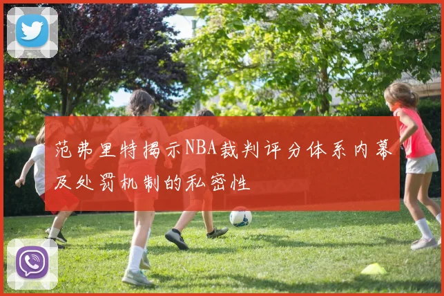范弗里特揭示NBA裁判评分体系内幕及处罚机制的私密性